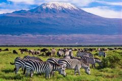 amboseli-NP-582x393-1