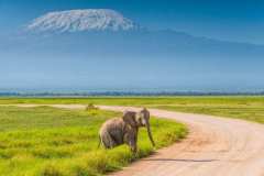 amboseli-national-park-1110x700