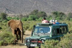 Game-Drives-in-Tsavo-National-Park-750x450